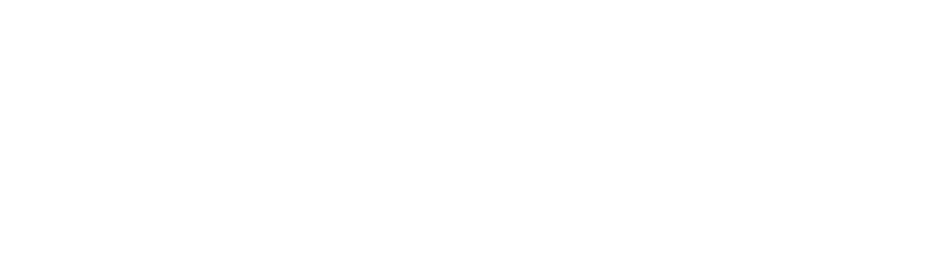 Dualmamo